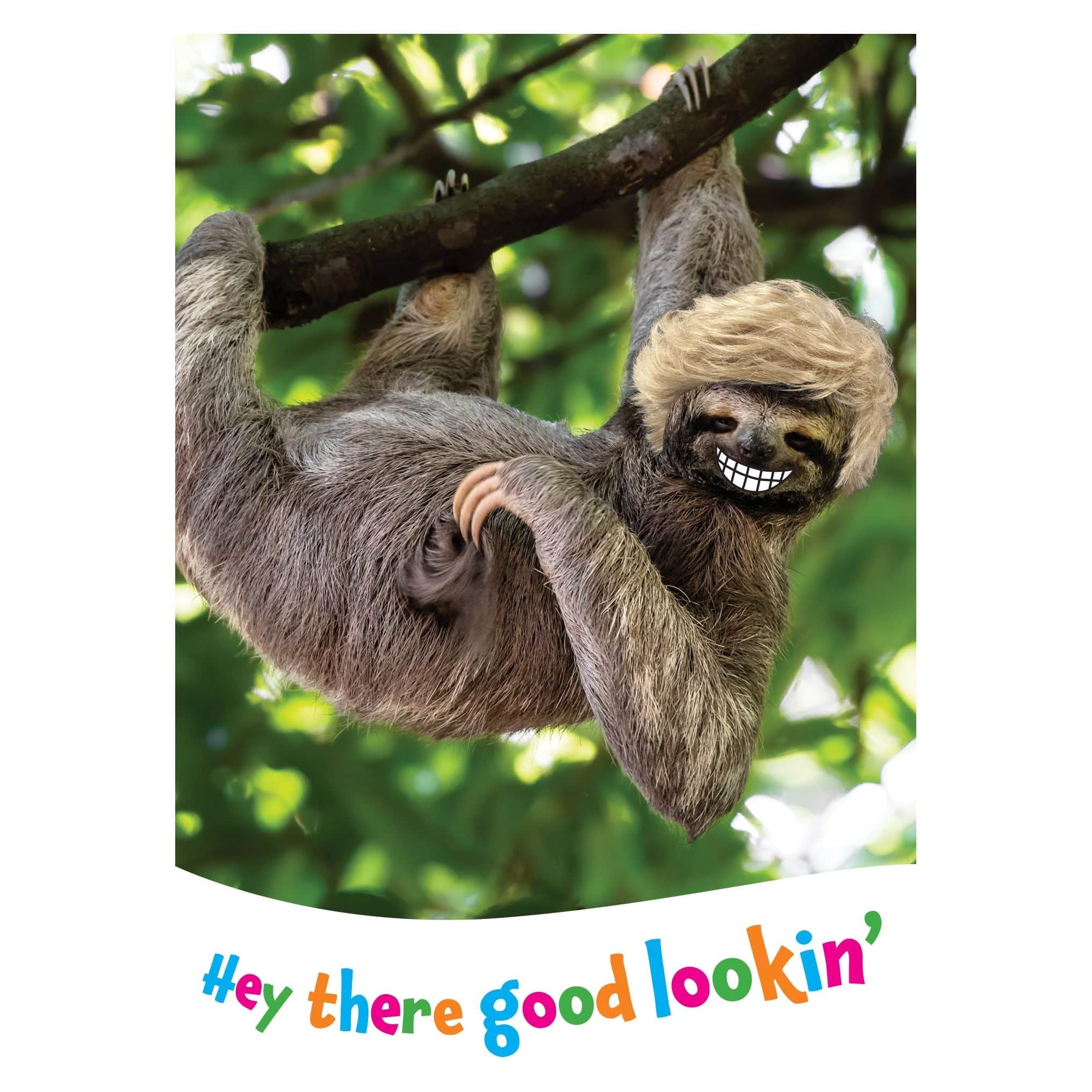 Pictura hanging sloth birthday card featuring a funny sloth illustration, perfect for humorous greeting occasions.